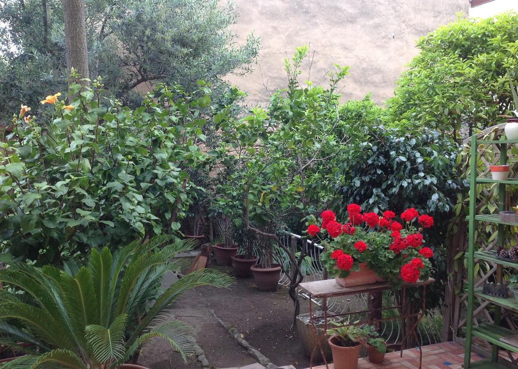 Apartmán Carrer Dels Horts Alghero Exteriér fotografie