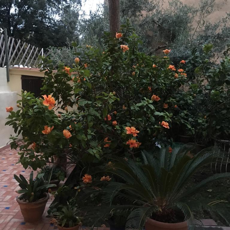 Apartmán Carrer Dels Horts Alghero Exteriér fotografie